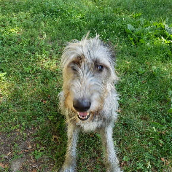 Meet your Posher, Amanda - Picture 3 of 6